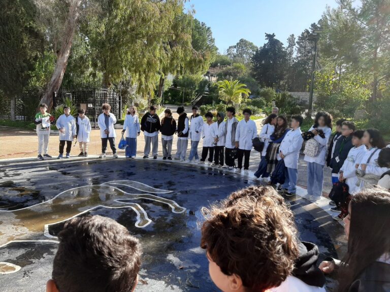 Visite du site emblématique de Carthage