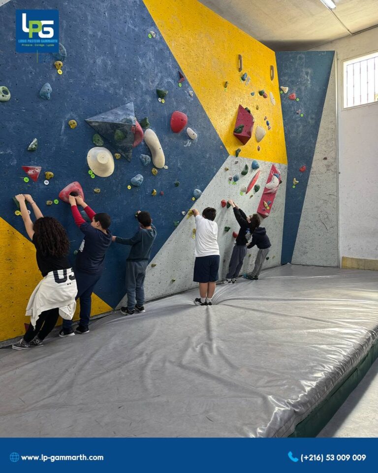 Sortie sportive au centre Climb’In